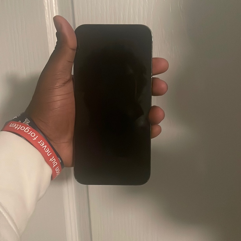 iPhone 12 max